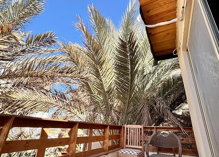 Palmwood 1 * Dahab