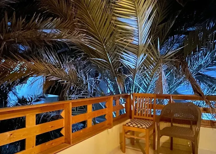 Palmwood 1